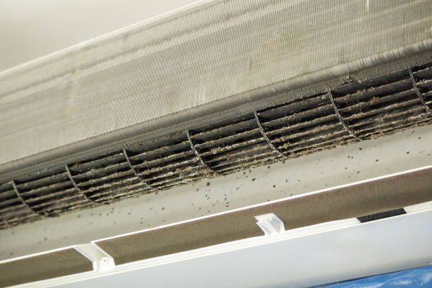 Best HVAC Duct Inspection Services  in Fayetteville, GA